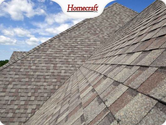 Roof Mold and Algae The Differences Roof Mold and Algae: The Differences