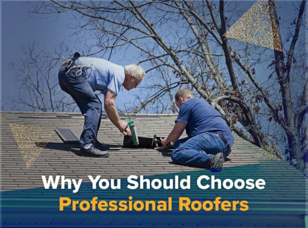 Why You Should Choose Professional Roofers